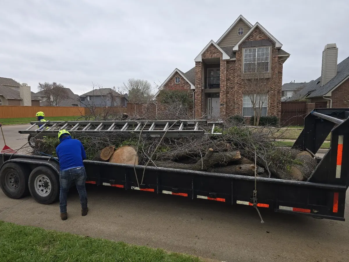 Expert Tree Fertilization with proper safety equipment in Clarkston